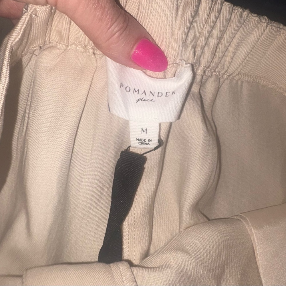 NWT Tuckernuck Pomander Place Cava Pleated Wide Leg Pants Tan Women’s M Preppy - Picture 4 of 5